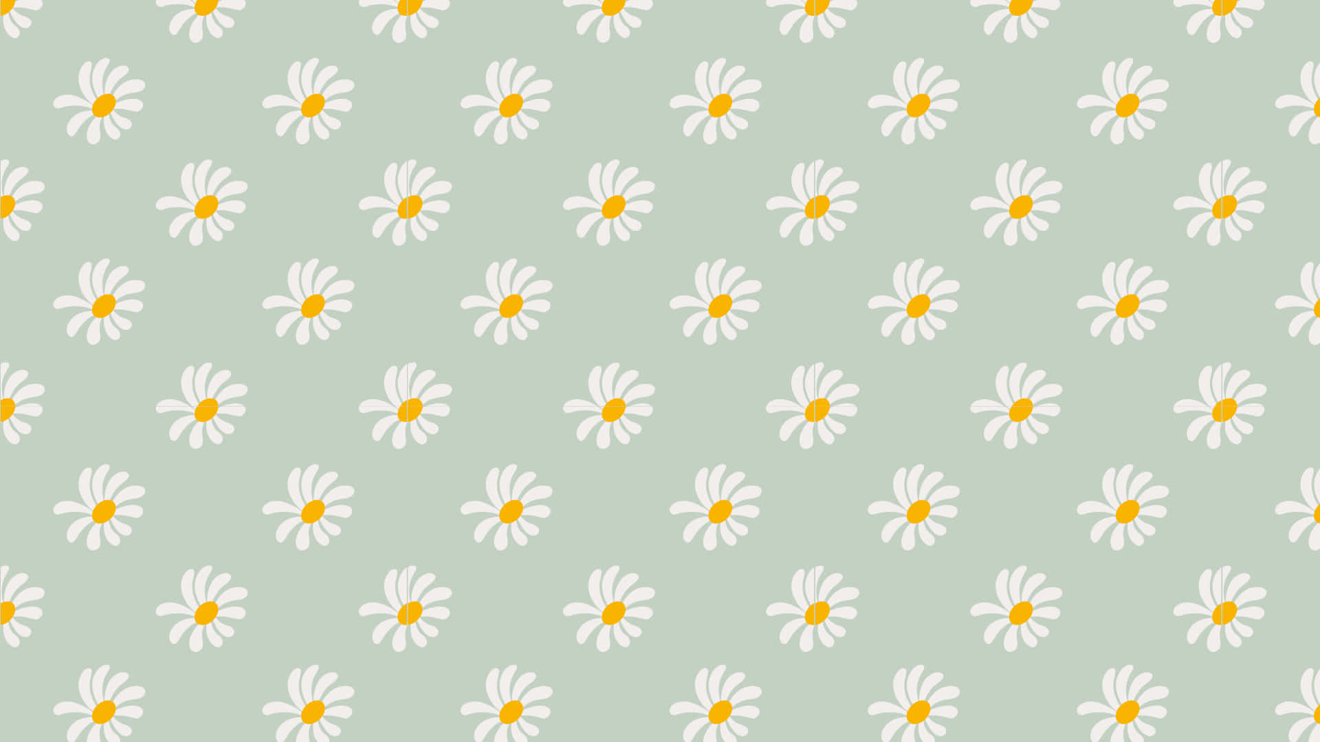 sage green, white daisies, yellow centers, Full HD Desktop Wallpaper