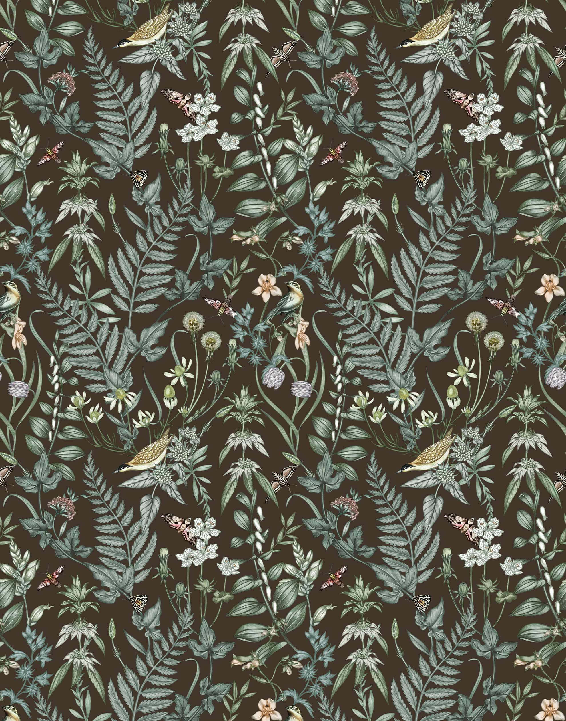 Green and Brown, ferns, wildflowers, Full HD Phone Wallpaper