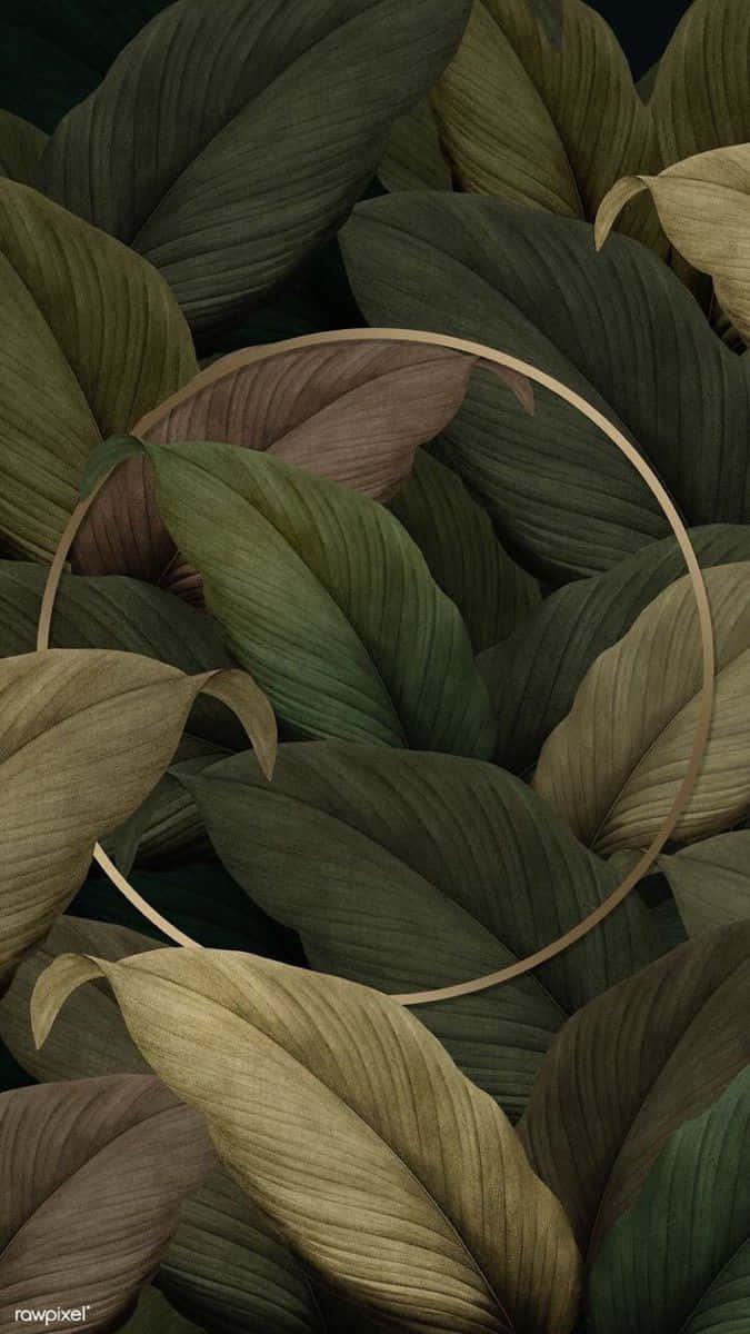 Vibrant Green And Brown Landscape, lush tropical leaves, deep greens, SD Phone Wallpaper