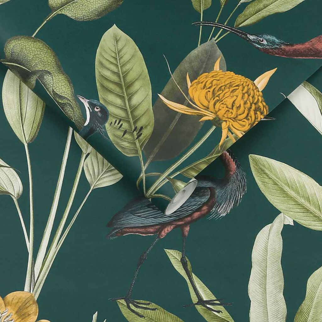 Green And Brown, tropical flora, exotic birds, SD Desktop Wallpaper