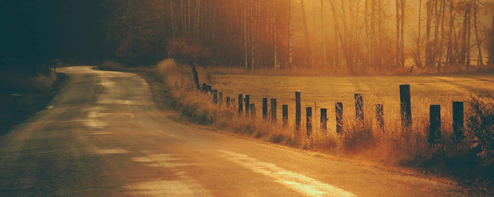 Green And Brown, country road, golden sunset, Full HD Desktop Wallpaper