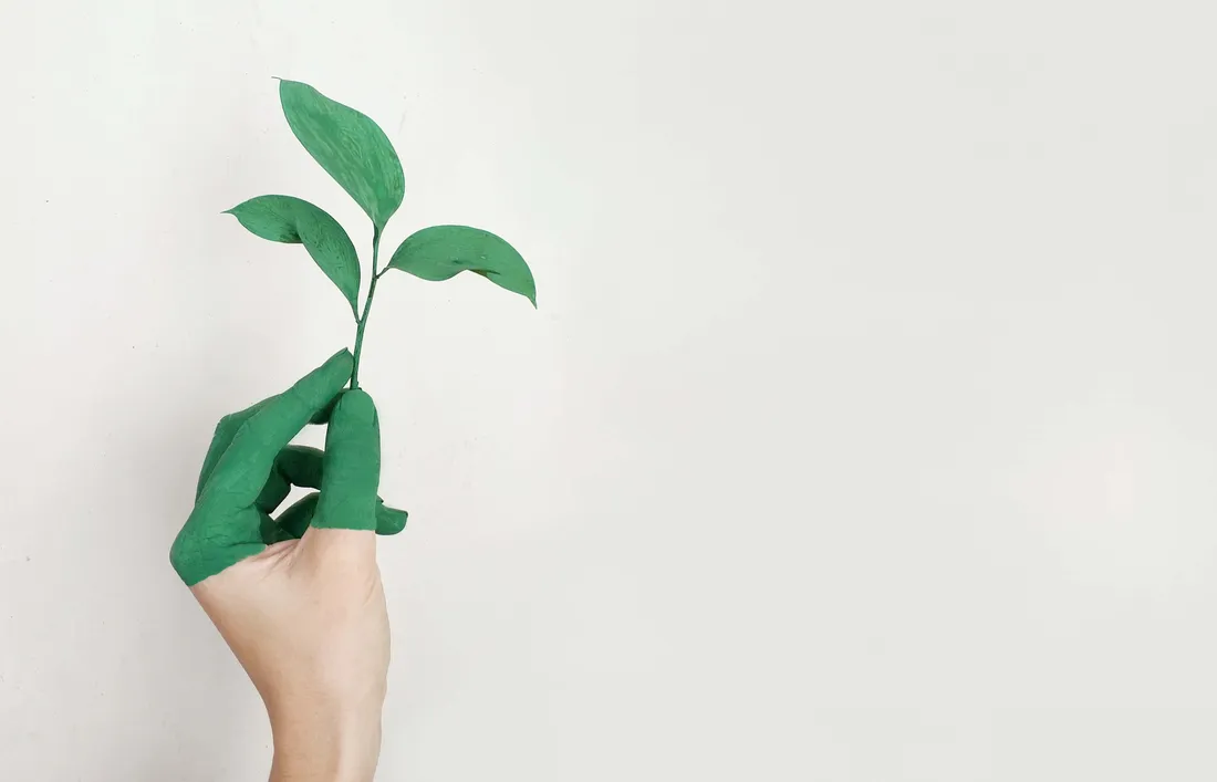 Green And White Aesthetic
