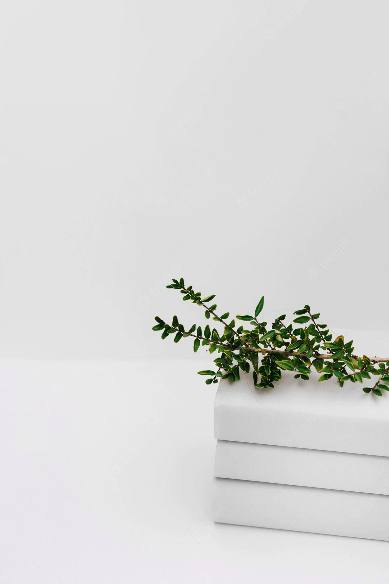 white blocks, branch, green leafy branch, Full HD Phone Wallpaper