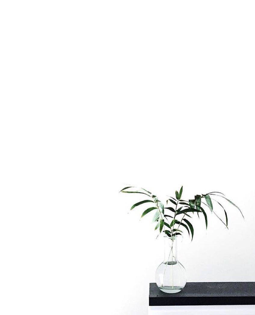 hydroponic vase, clear glass vase, slender green leaves, SD Phone Wallpaper