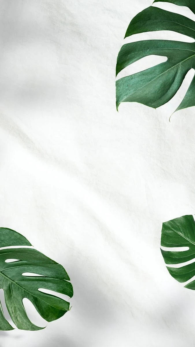 Monstera leaves, vibrant green, soft textured white fabric background, SD Phone Wallpaper