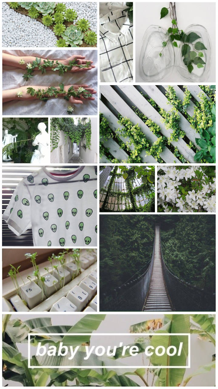 lush green plants, hands holding vines, bridge through forest, HD Phone Wallpaper