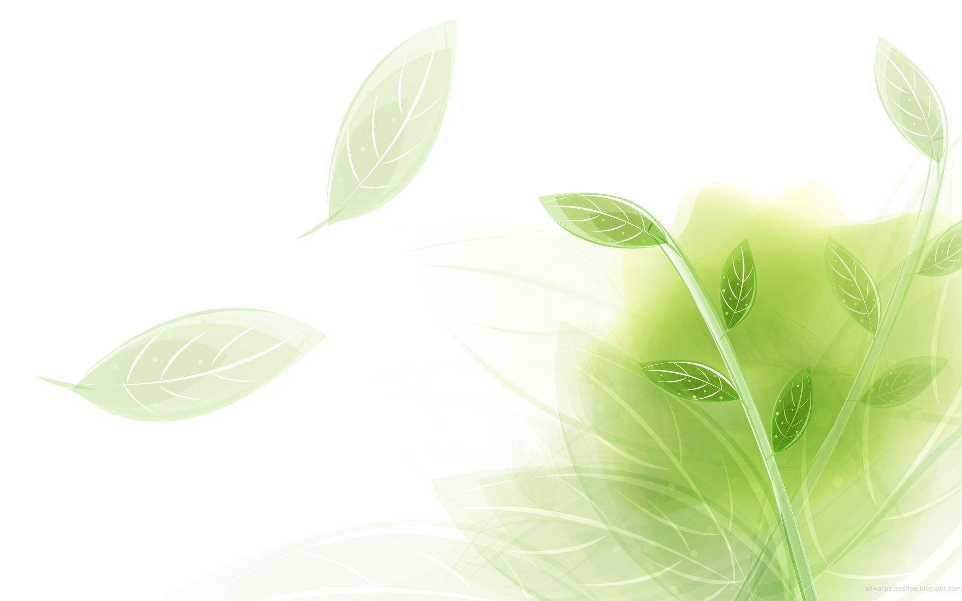 light green leaves, translucent green leaves, bright white background, Full HD Desktop Wallpaper