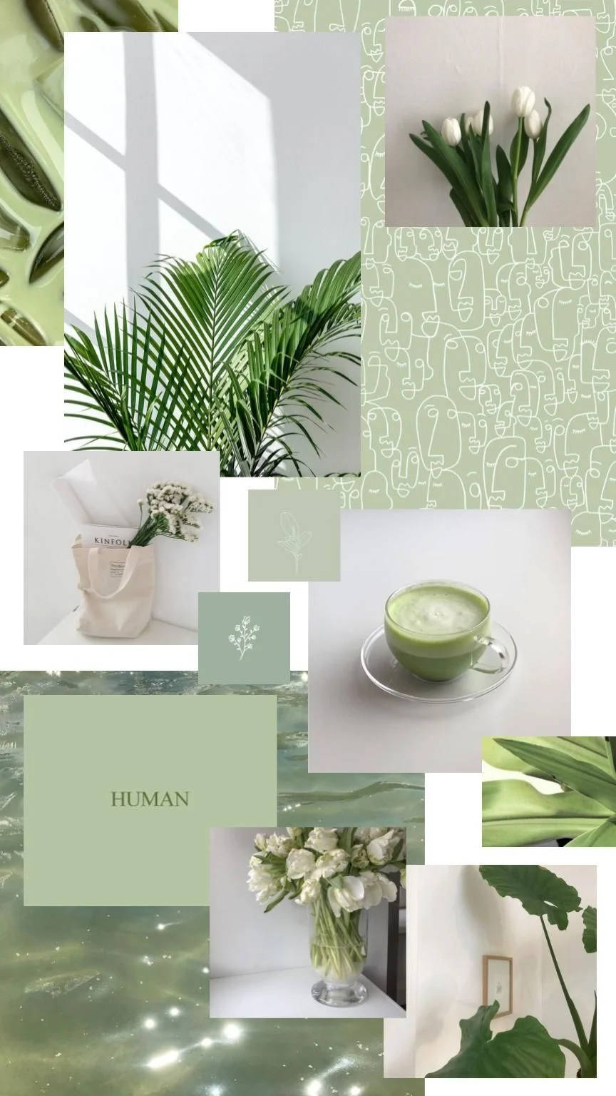 Green And White Aesthetic, tulips, matcha tea, HD Phone Wallpaper