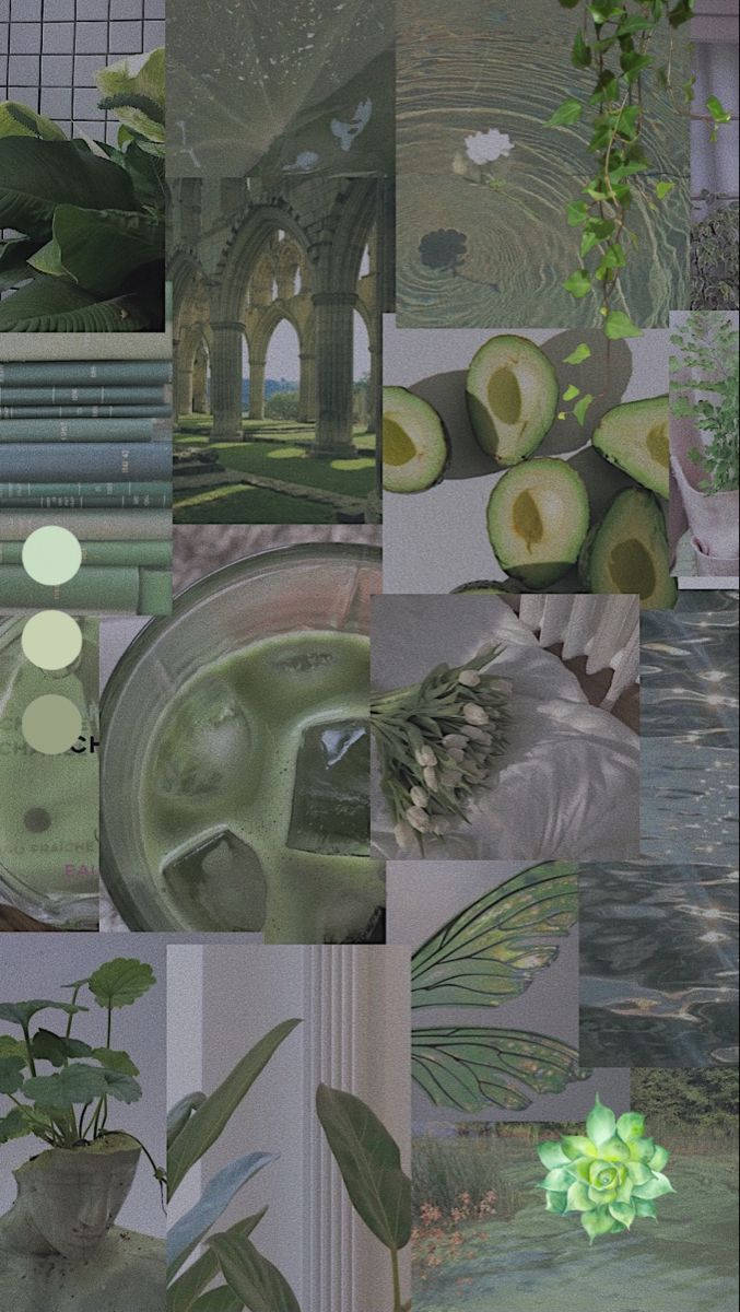 green-toned collage, plants, books, SD Phone Wallpaper