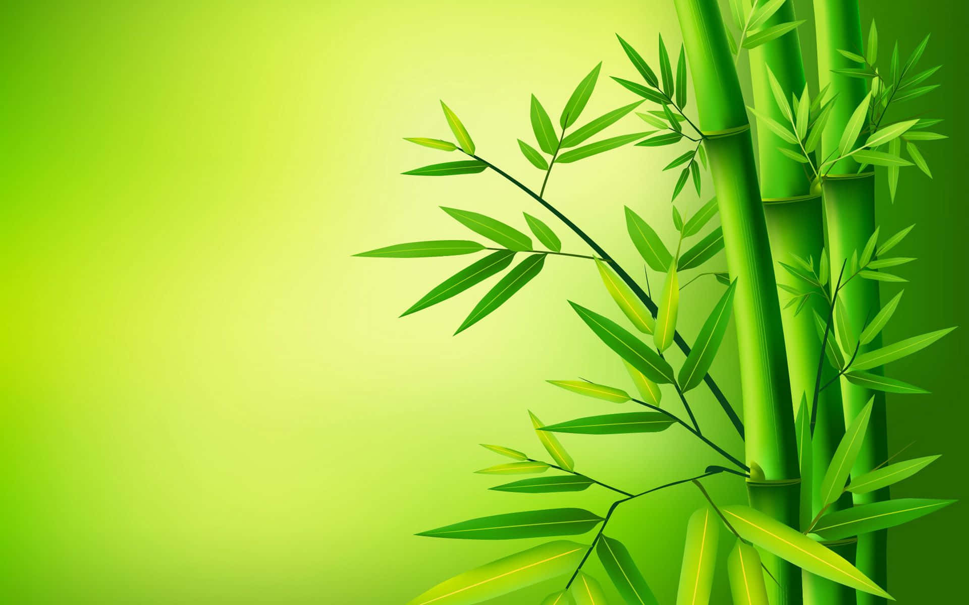 green bamboo forest, vibrant green bamboo stalks, leaves, Full HD Desktop Wallpaper