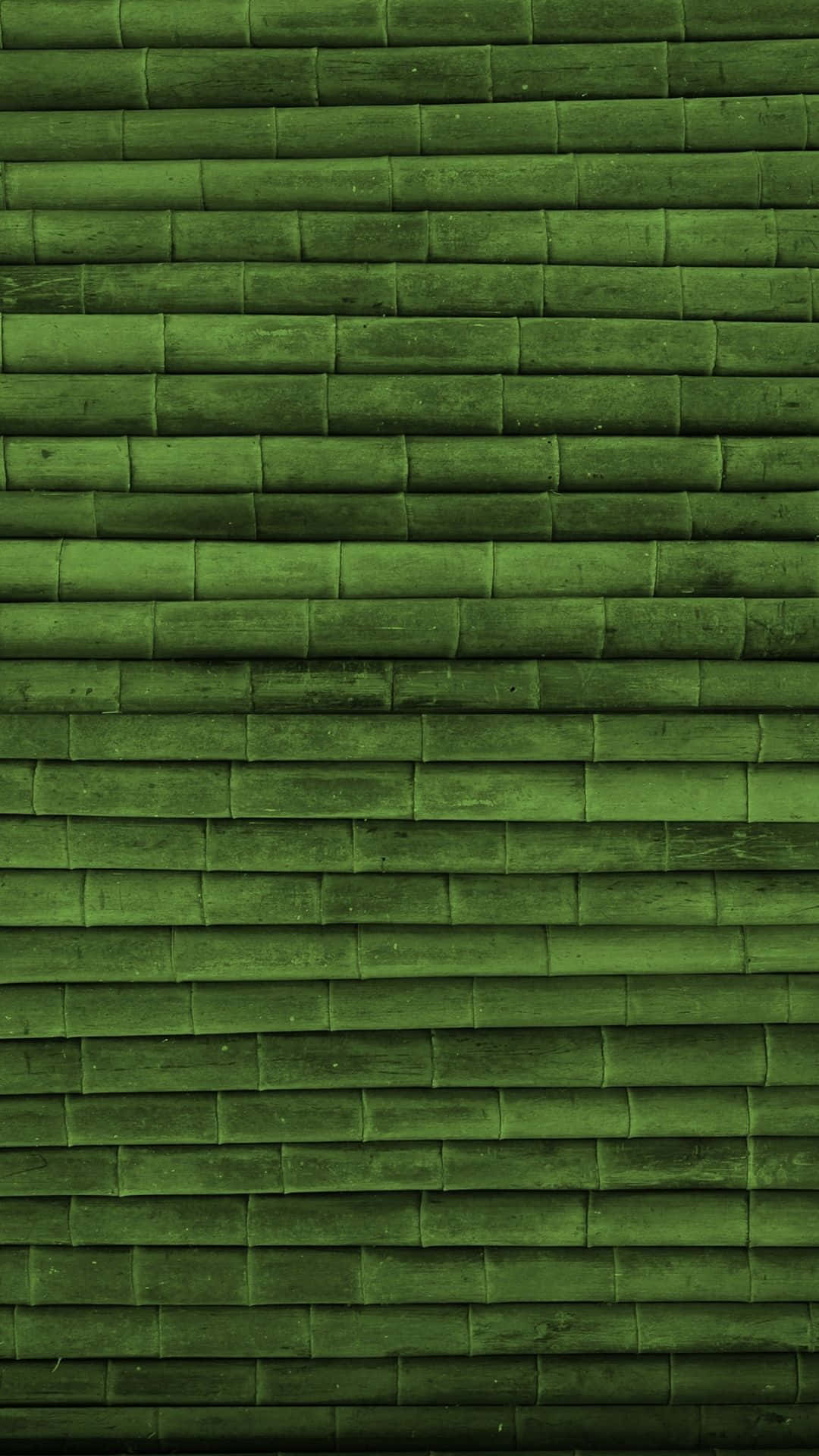 Green Bamboo, rich green, bamboo stalks, Full HD Phone Wallpaper
