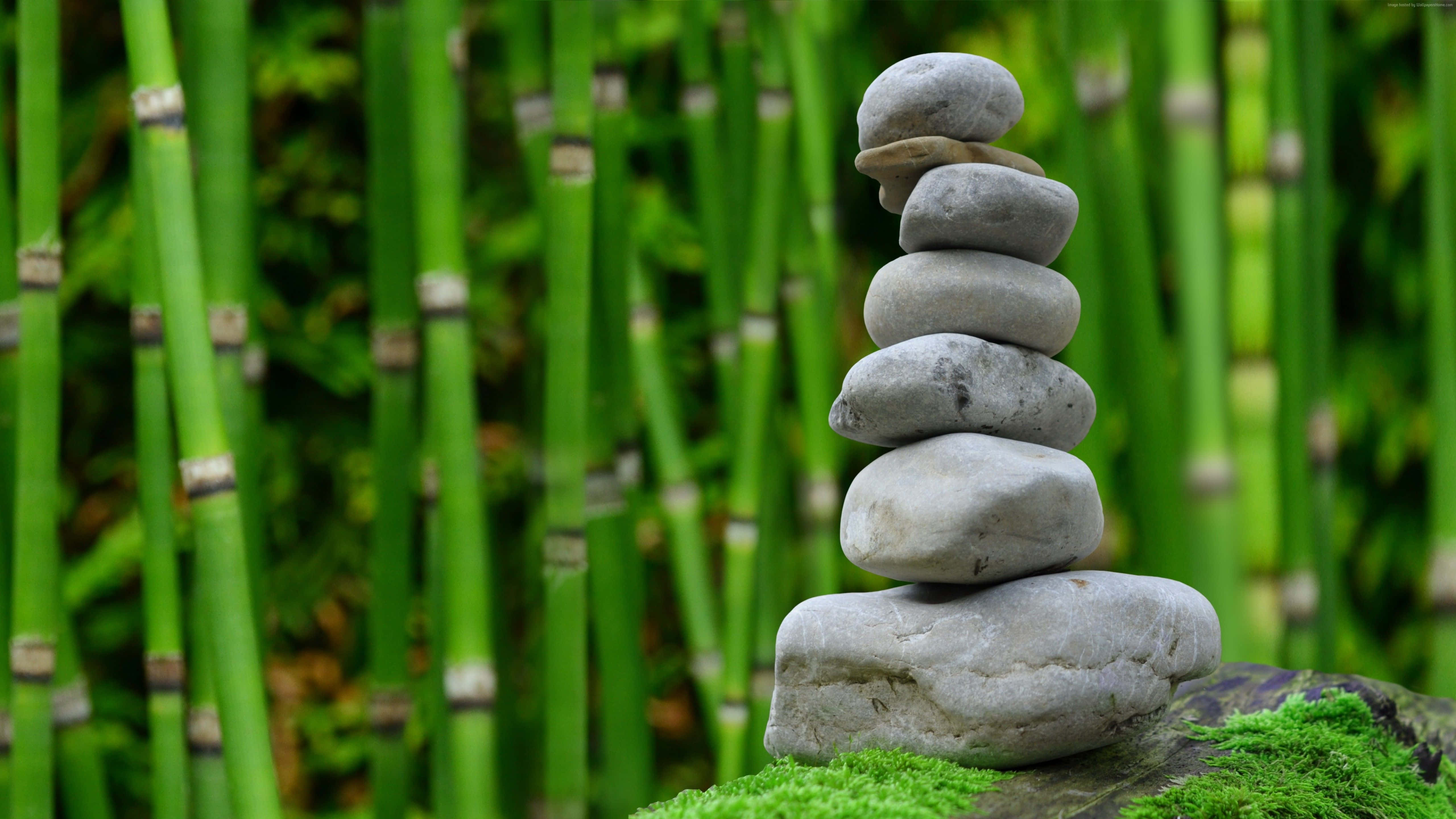 Green Bamboo, rock cairns, mossy log, 5K Desktop Wallpaper