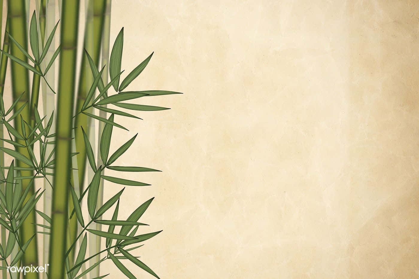 Chinese bamboo, green bamboo stalks, bamboo tree, HD Desktop Wallpaper