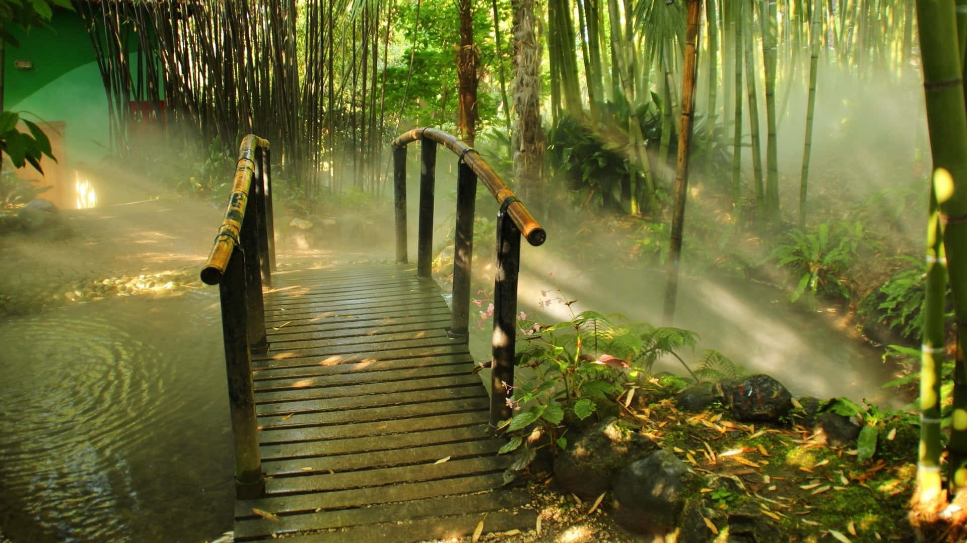 bamboo forest, wooden bridge, bamboo railings, Full HD Desktop Wallpaper