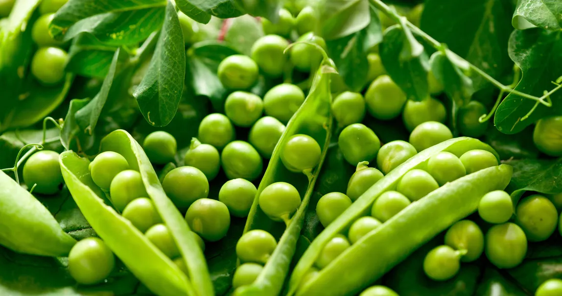 Green Beans