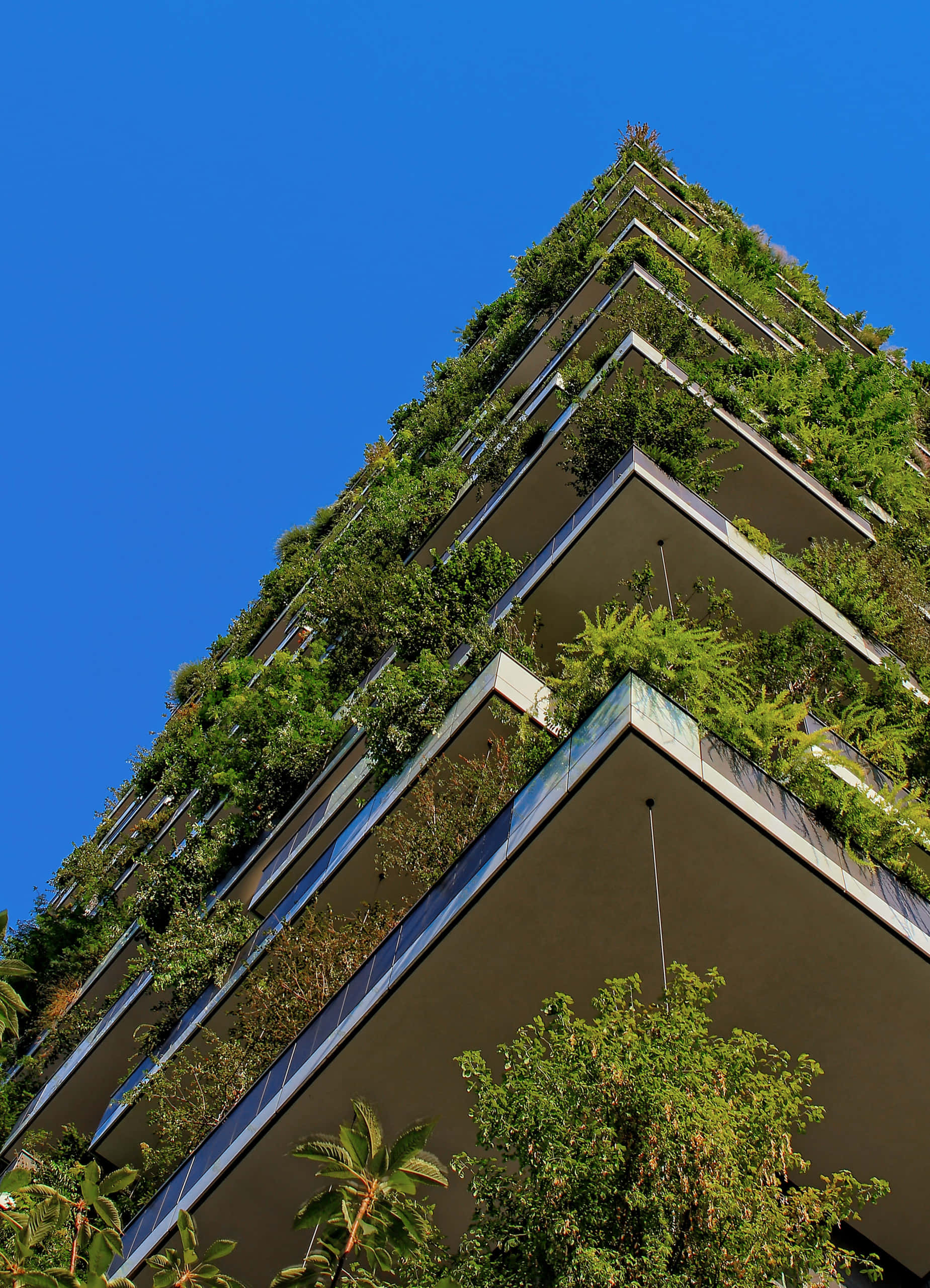 Green Buildings, modern skyscraper, lush greenery, 2K Phone Wallpaper