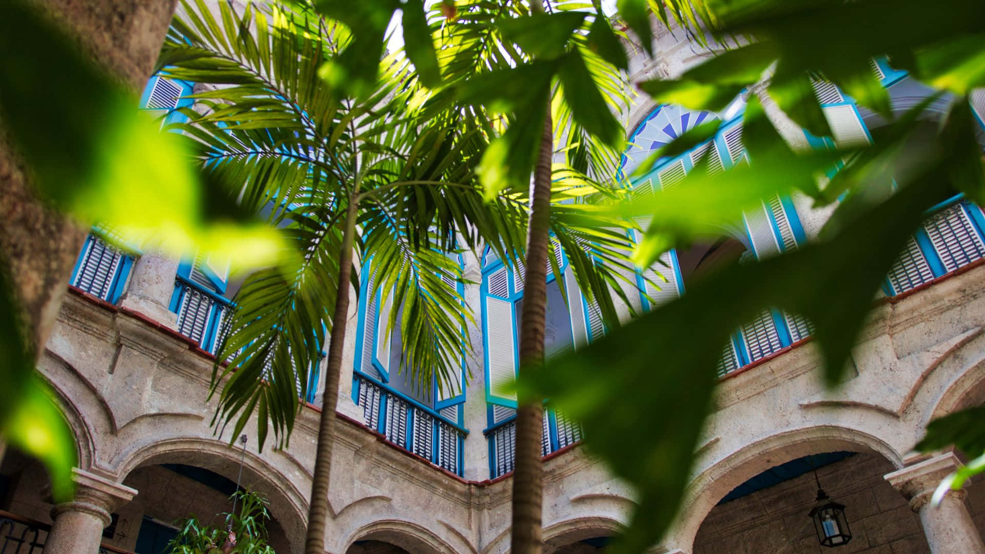 Green Buildings, palm trees, sunlit courtyard, Full HD Desktop Wallpaper