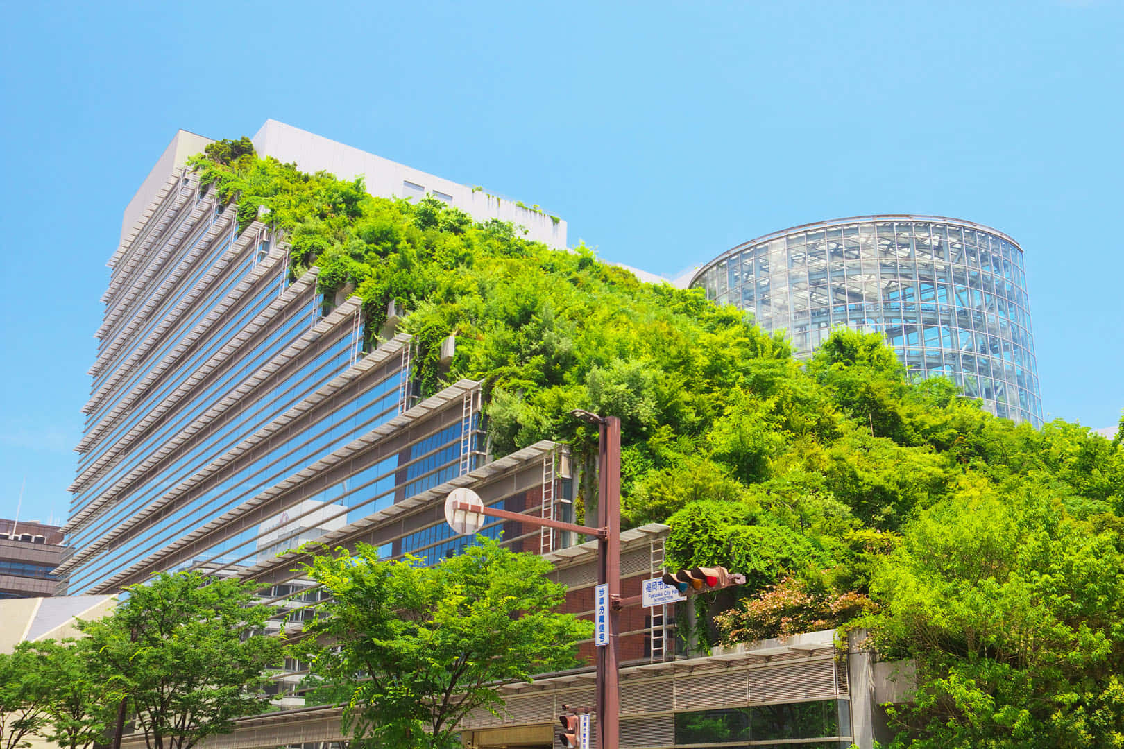 green buildings, modern glass skyscraper, lush greenery, HD Desktop Wallpaper