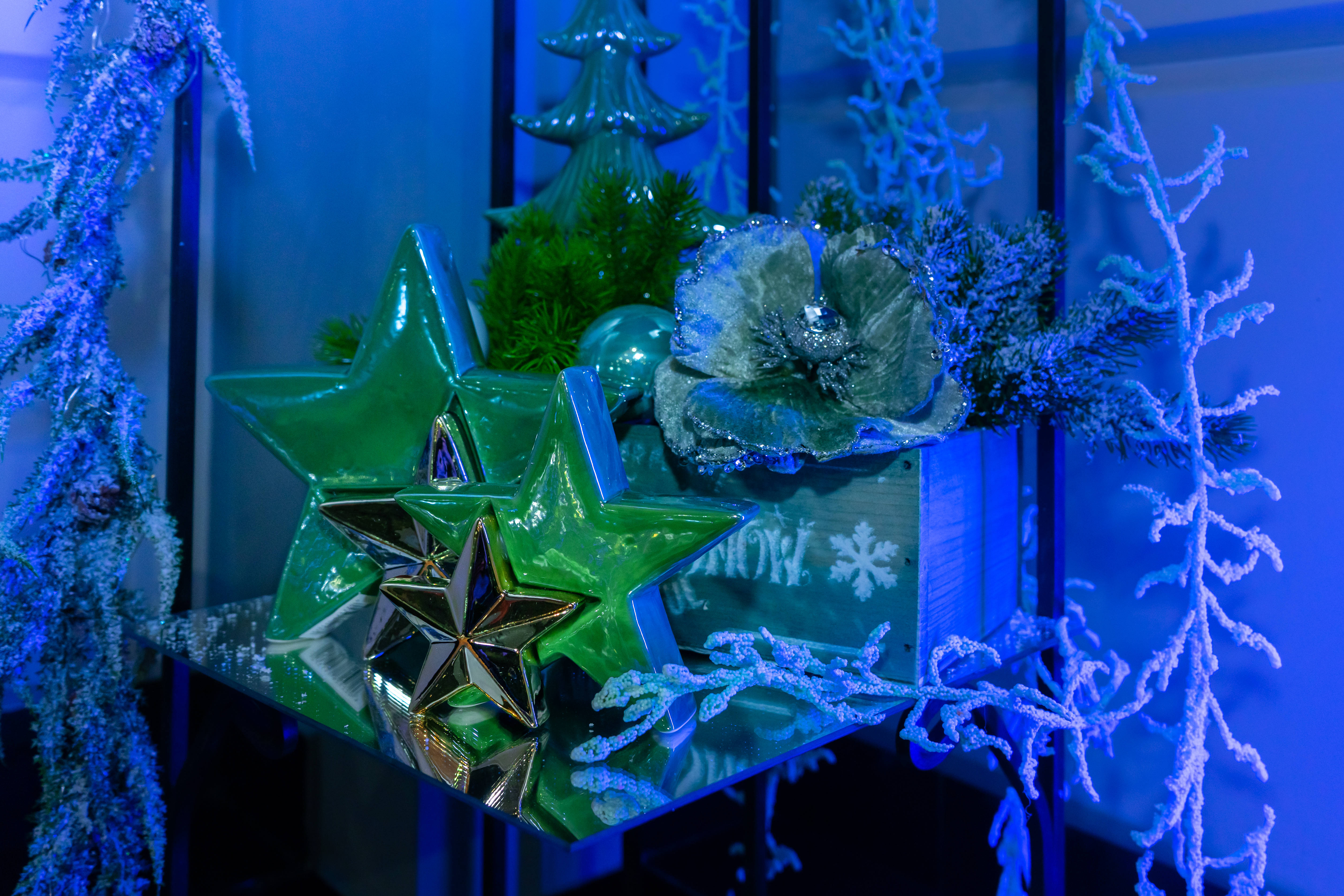green stars, frosted blue branches, reflective surface, 5K Desktop Wallpaper
