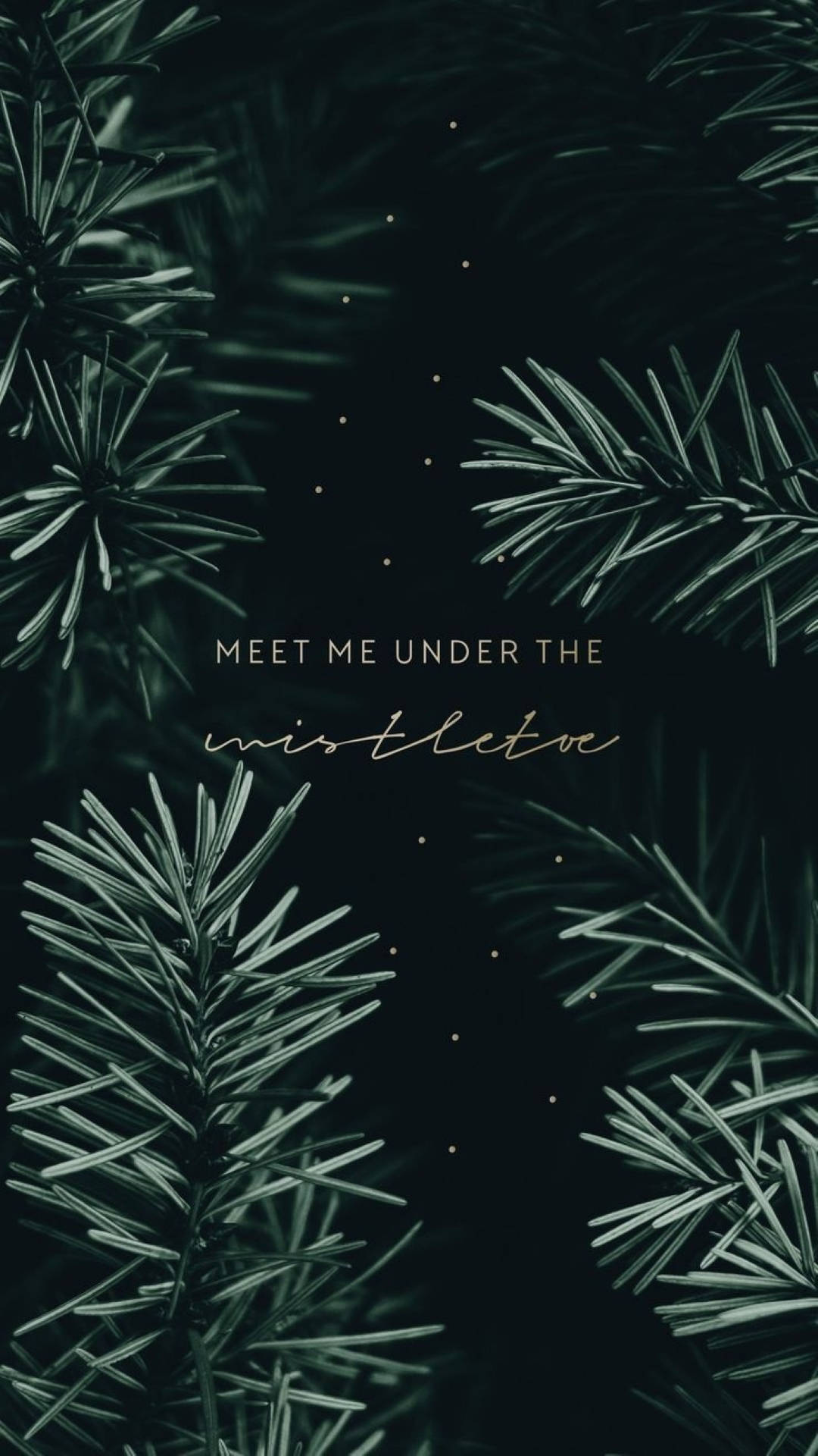 Dark Green Christmas Aesthetic, pine branches, starry night sky, Full HD Phone Wallpaper