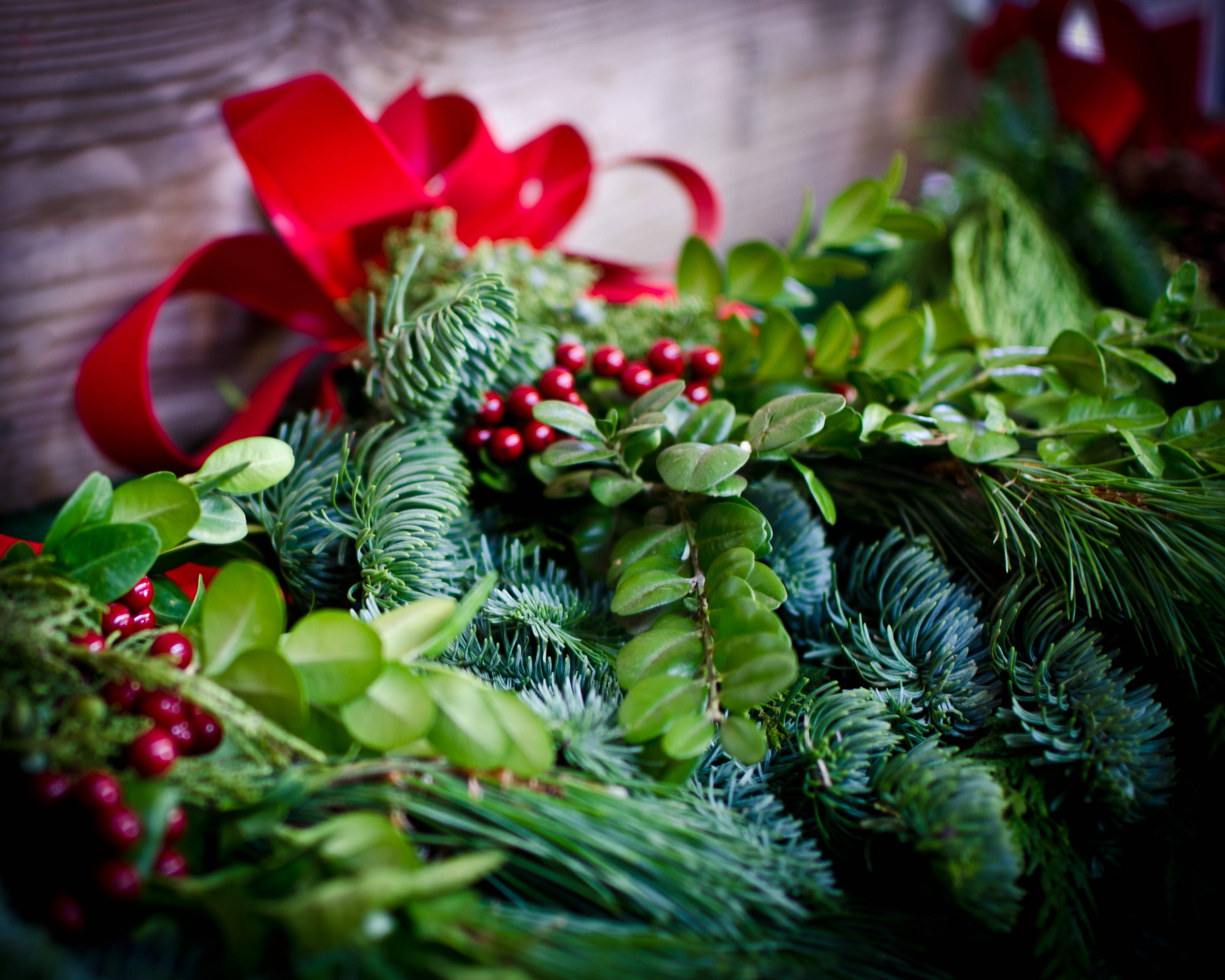 real green pine leaves, red berries, vibrant red bow, 2K Desktop Wallpaper