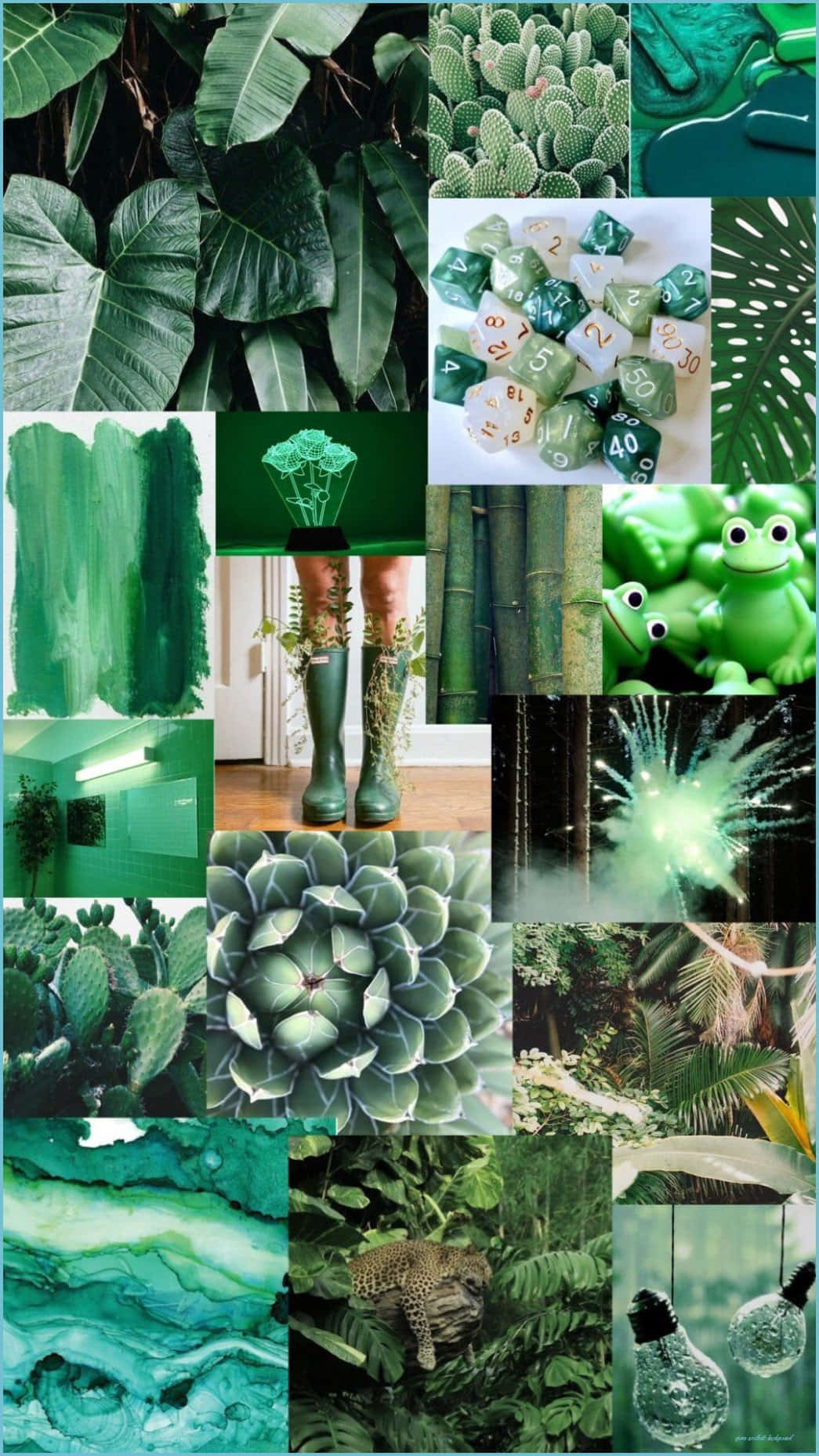 Green Collage, frogs, tropical leaves, HD Phone Wallpaper