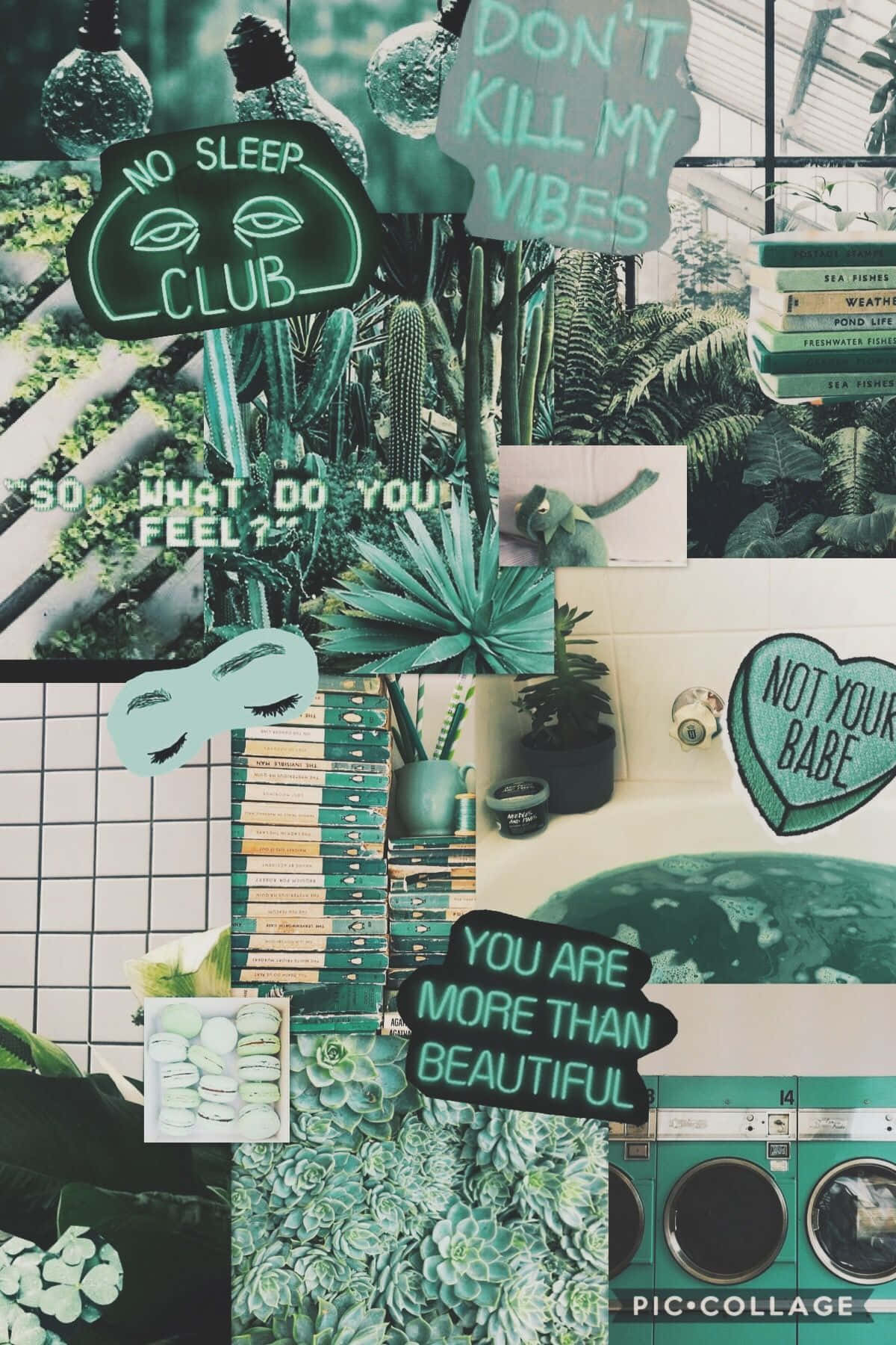 teal, green, plants, HD Phone Wallpaper