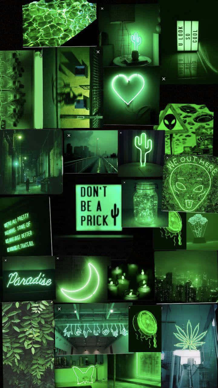 Green Collage, vibrant green neon, glowing signs, HD Phone Wallpaper