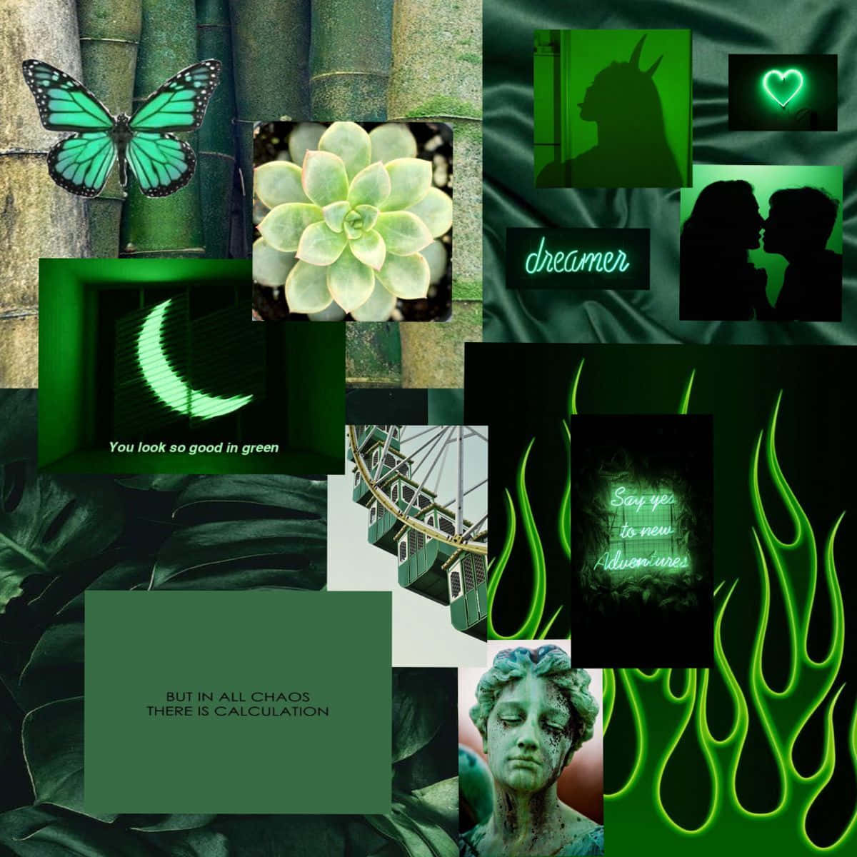 green collage, butterfly succulent, moonfire text, SD Desktop Wallpaper