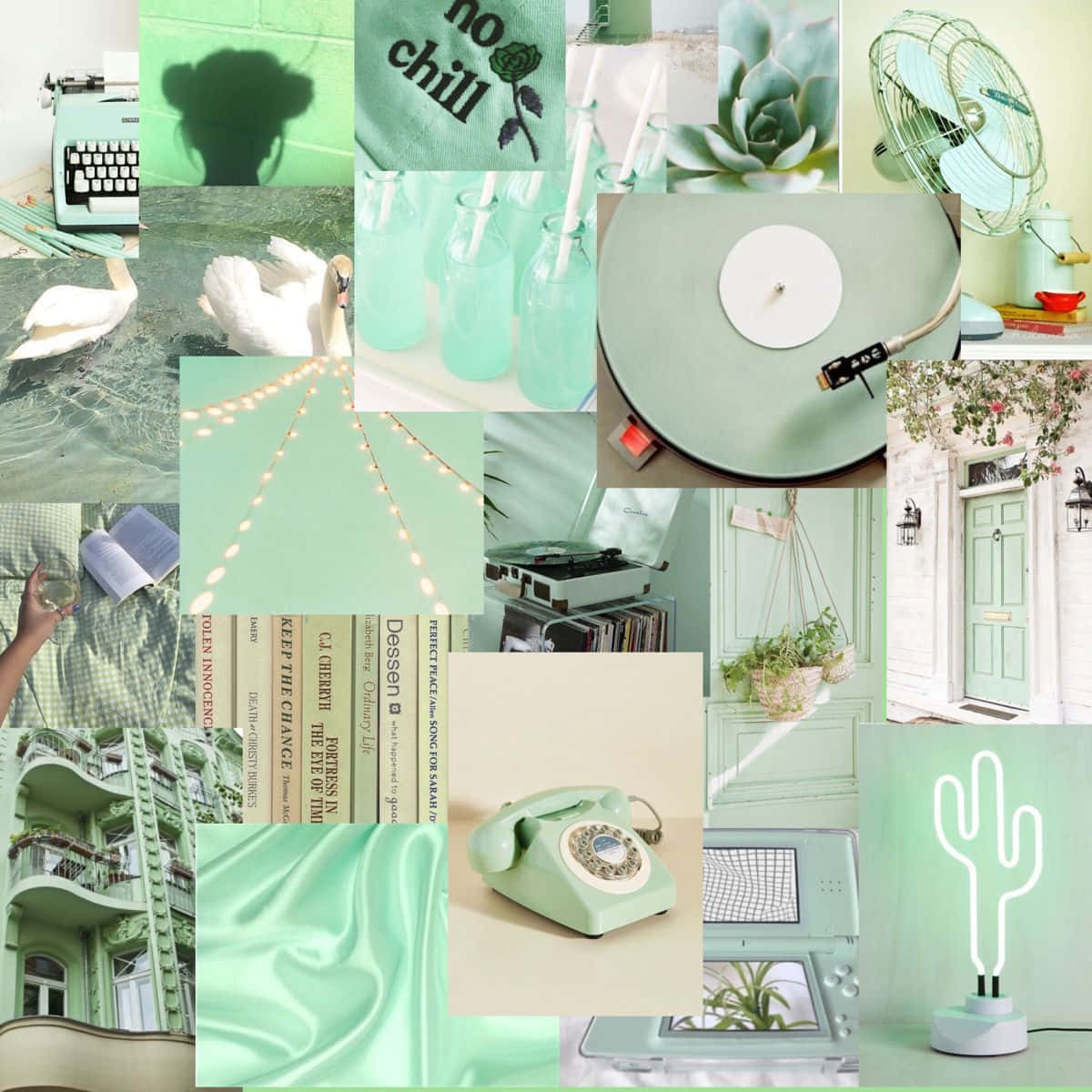 mint green, vintage objects, succulents, SD Desktop Wallpaper