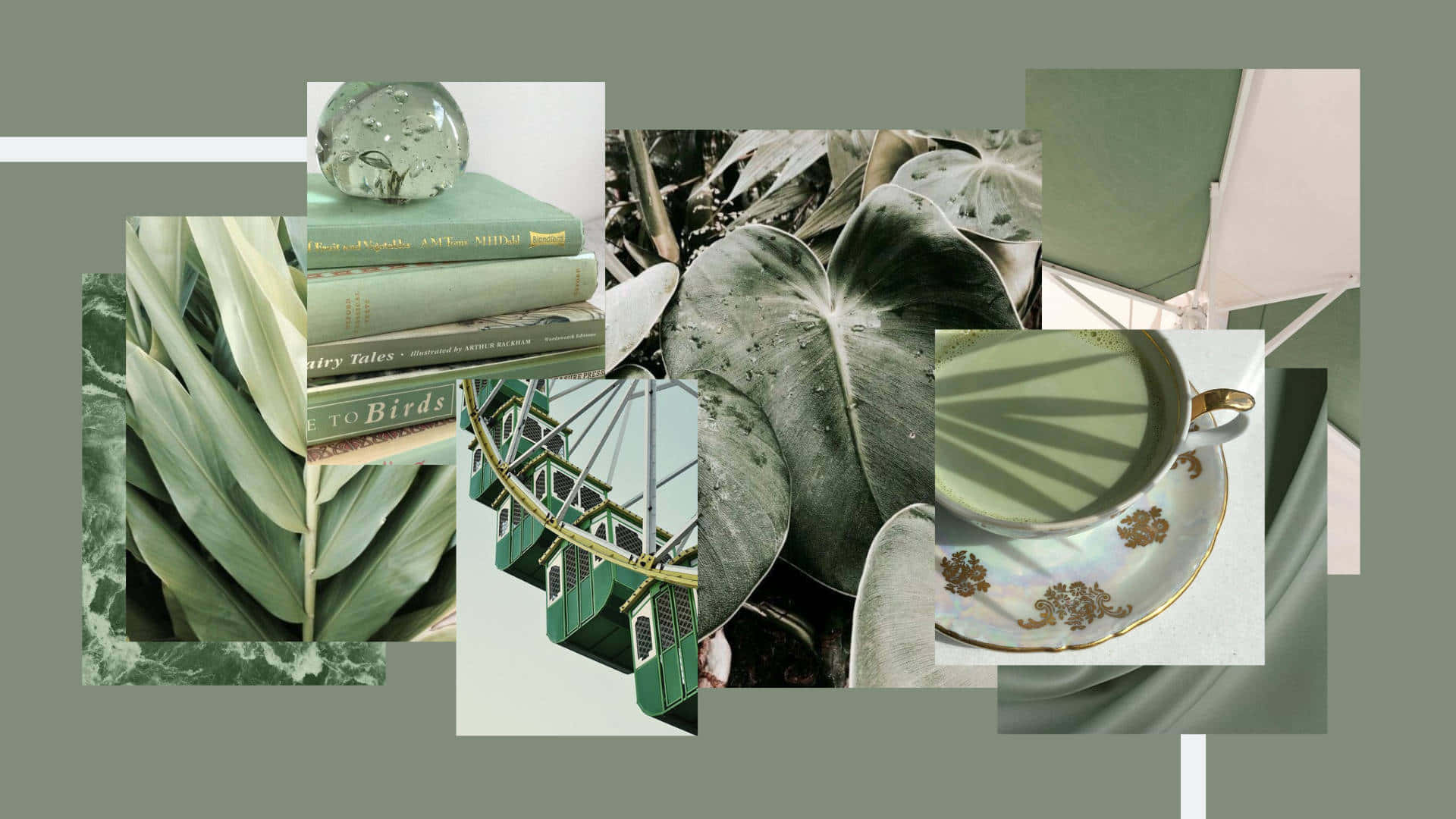Olive Greenaesthetic, muted sage background, tropical leaves, Full HD Desktop Wallpaper