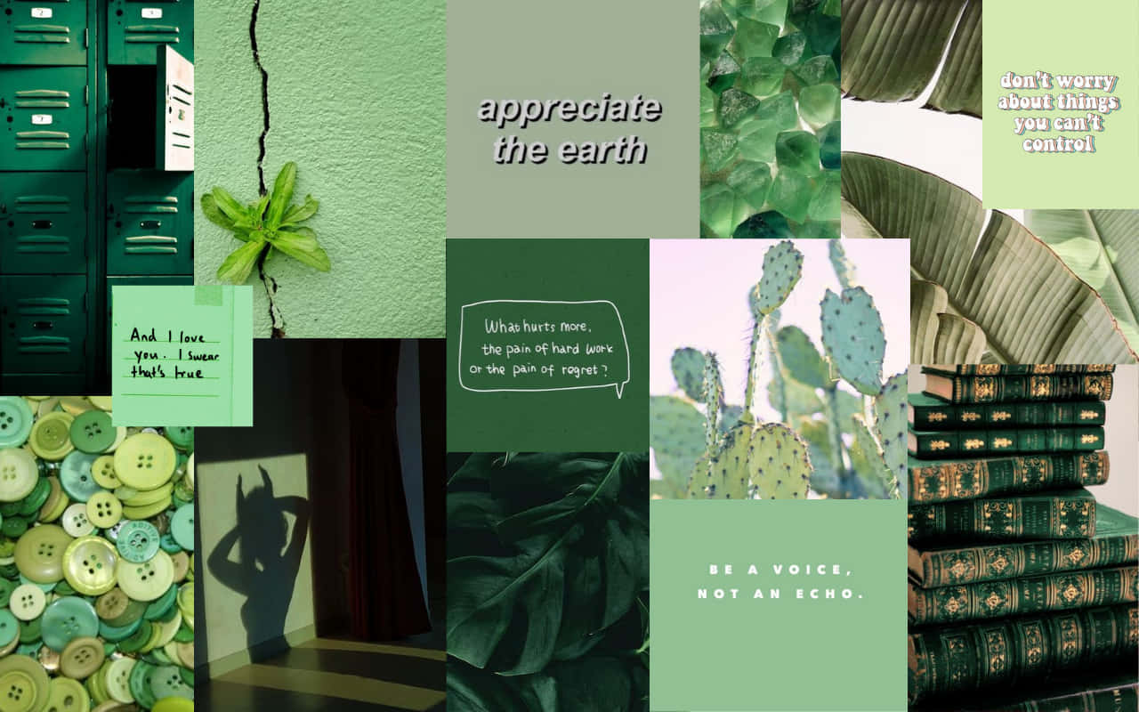 green-toned, nature textures, vintage books, HD Desktop Wallpaper