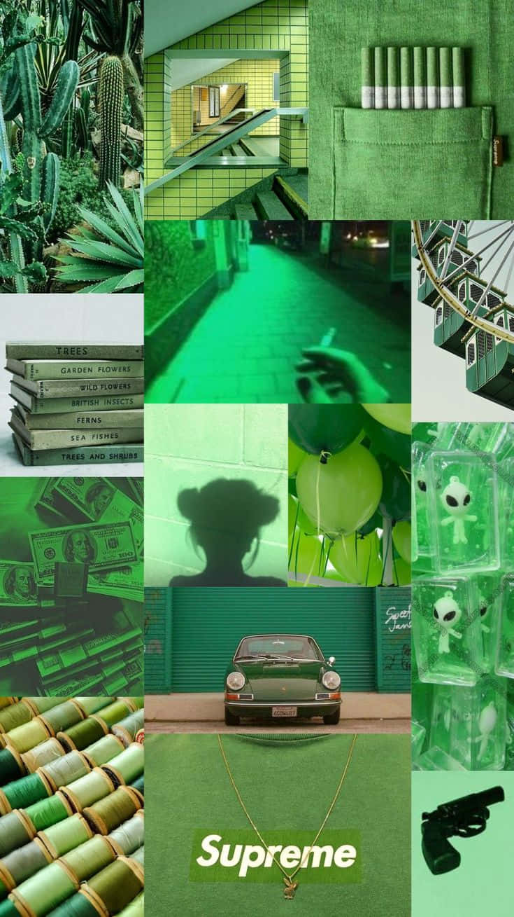 Green Collage, cacti, books, HD Phone Wallpaper