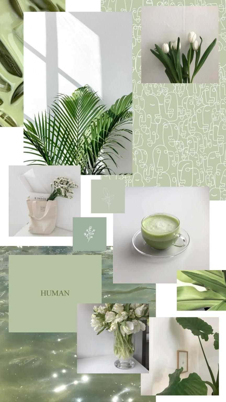 Green Collage, tropical leaves, white flowers, HD Phone Wallpaper