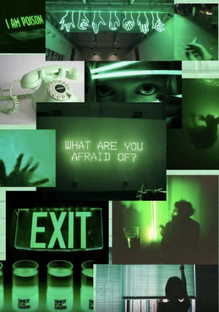 green-tinted, glowing exit signs, fearful eyes, SD Phone Wallpaper