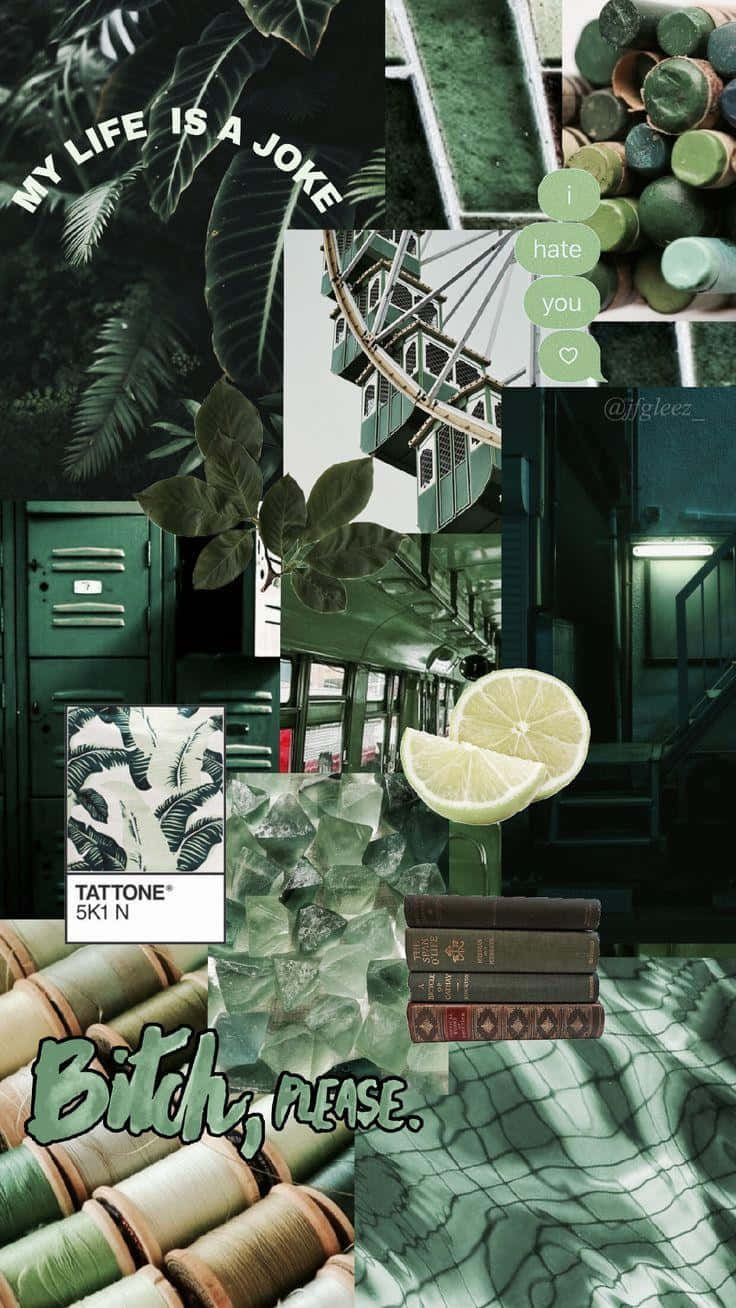 green-toned collage, text quotes, citrus slices, HD Phone Wallpaper