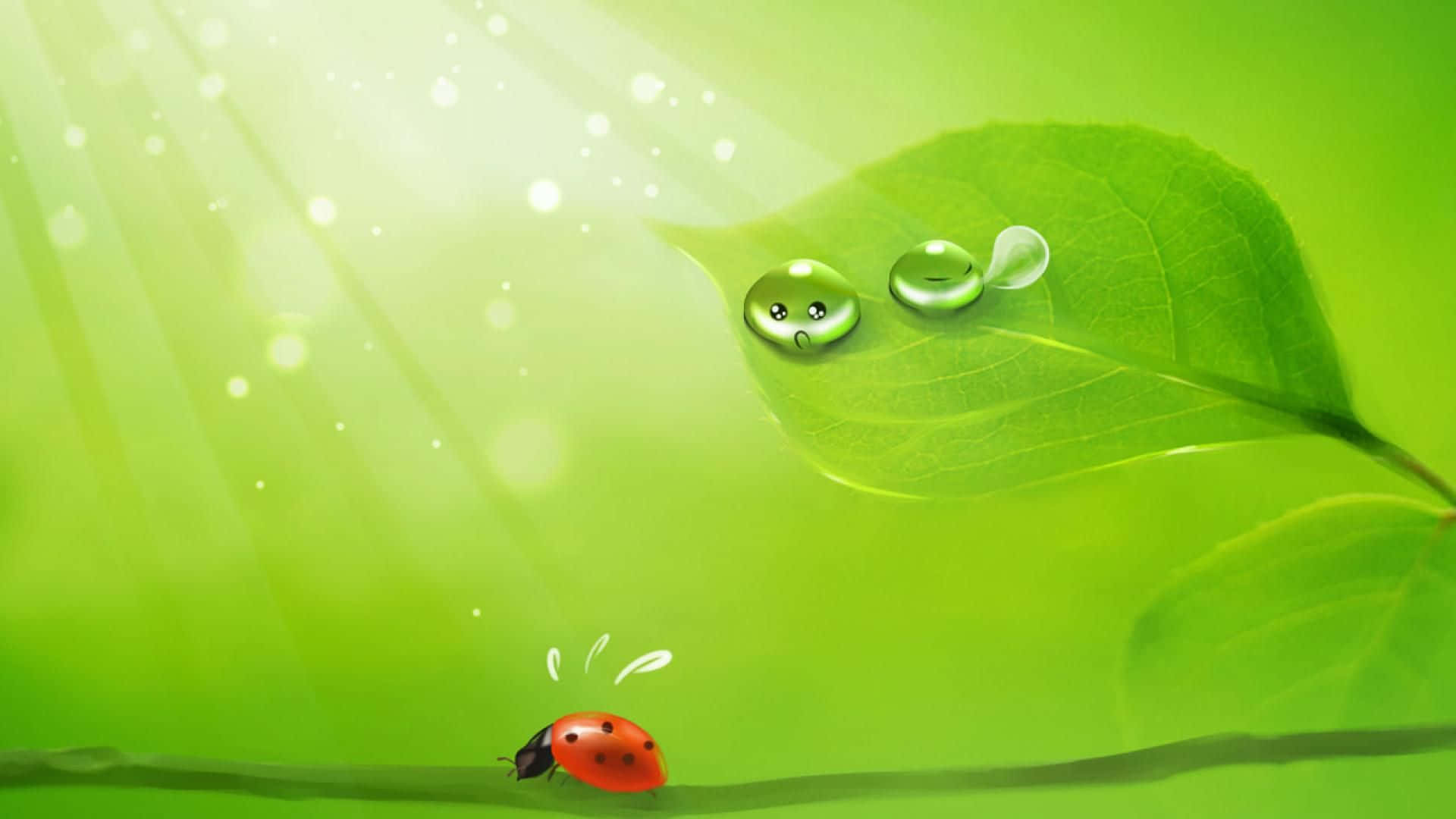 green desktop, ladybug, water droplets, Full HD Desktop Wallpaper
