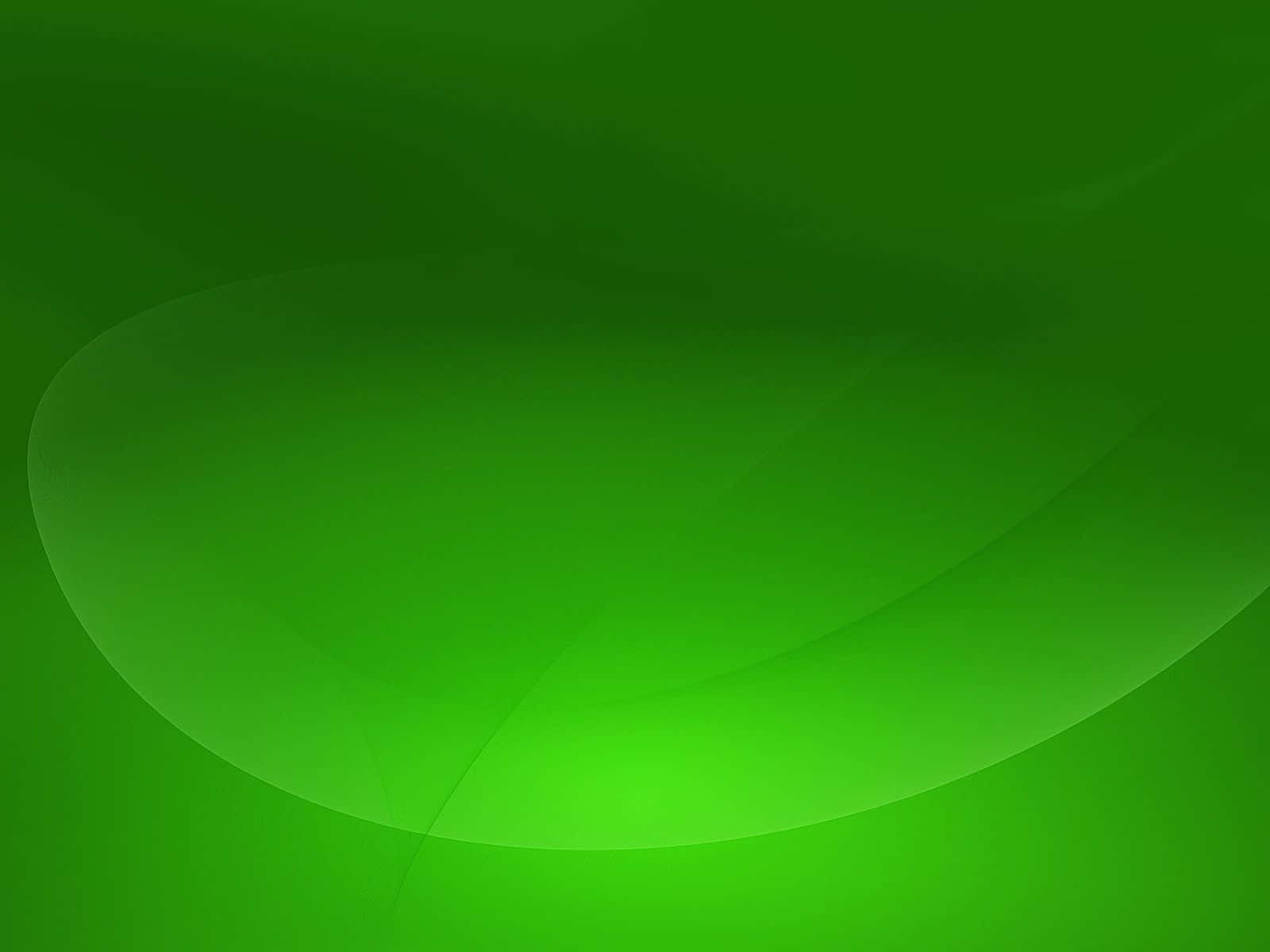 green desktop, rich green, soft glowing curves, HD Desktop Wallpaper