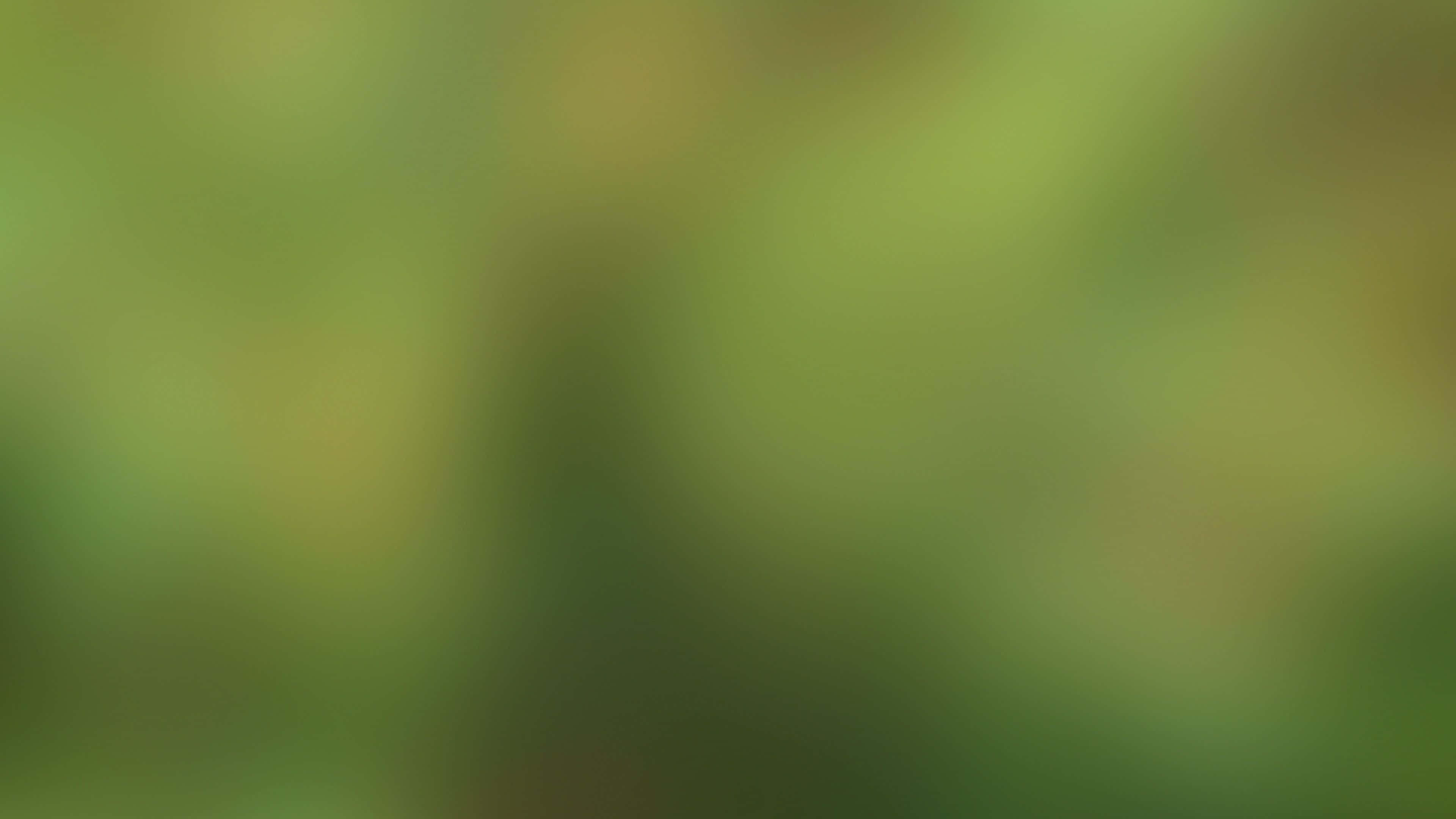 green desktop, green, yellow, 4K Desktop Wallpaper
