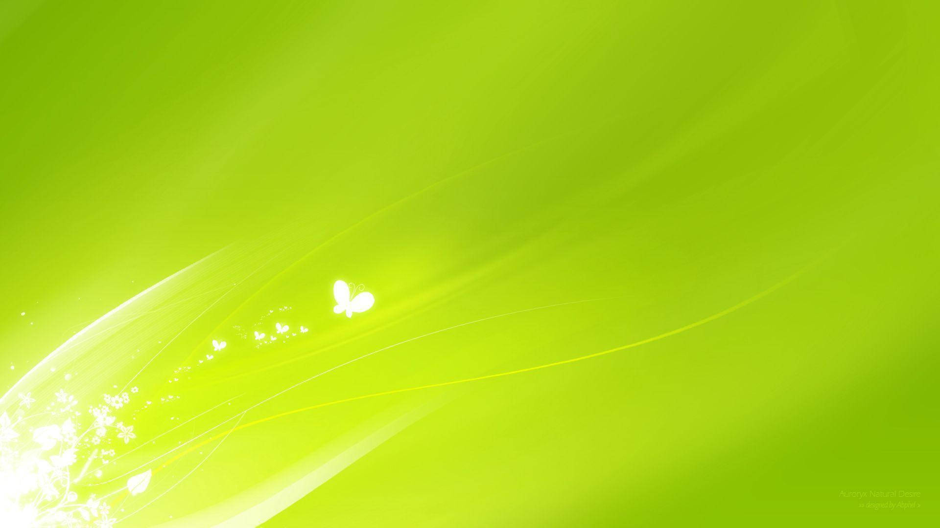 Lone Butterfly, light green, luminous lime green, Full HD Desktop Wallpaper