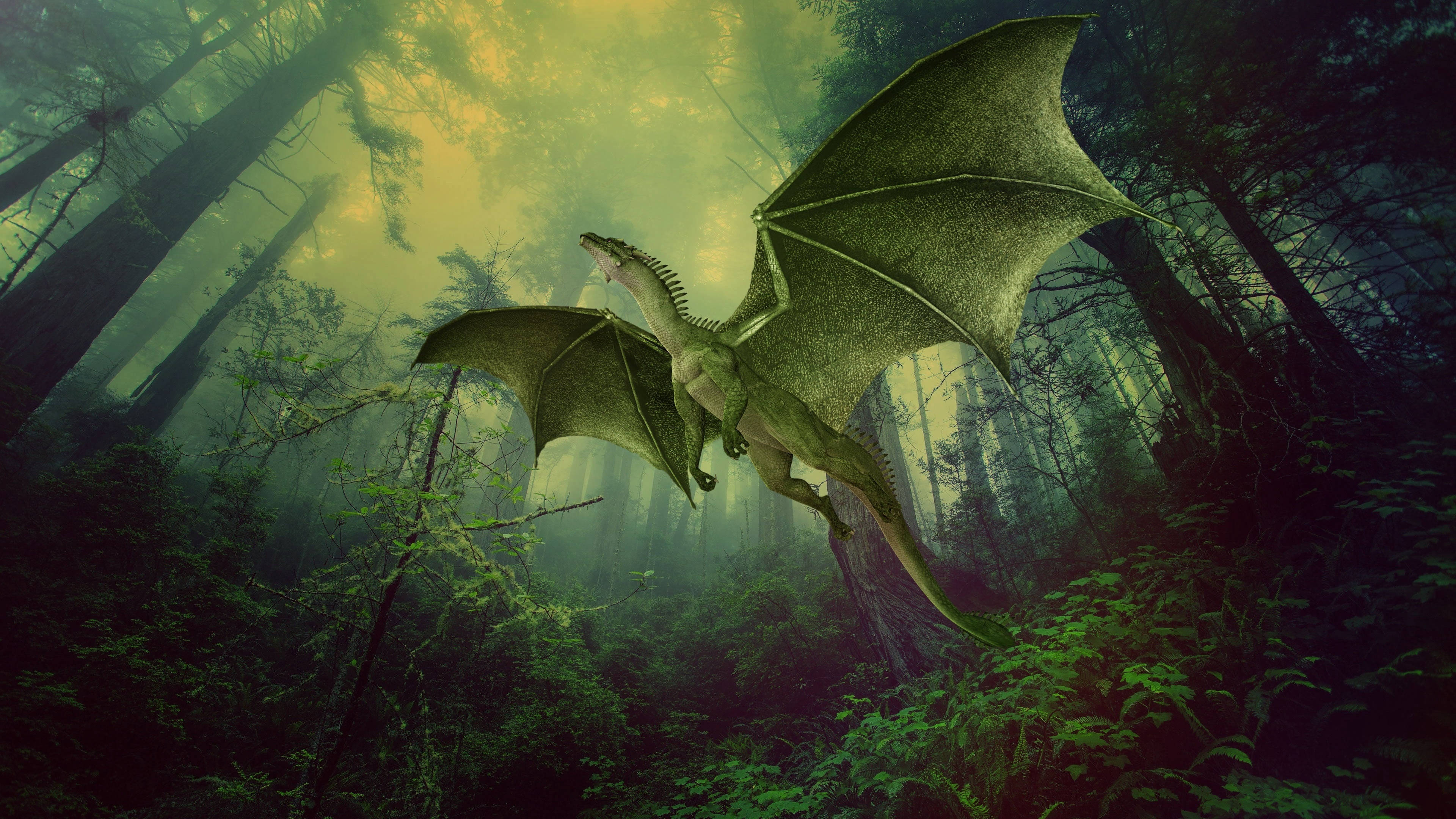 Green Dragon, misty forest, towering trees, 4K Desktop Wallpaper