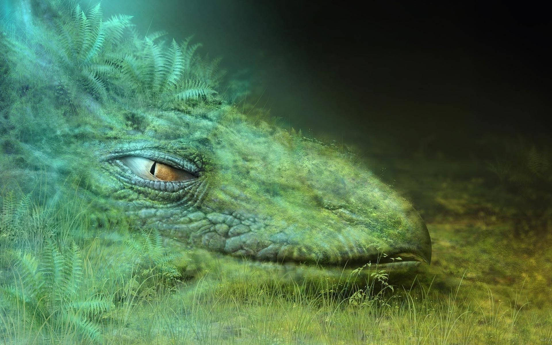 Green Dragon, grass camouflage, moss-covered dragon's eye, Full HD Desktop Wallpaper