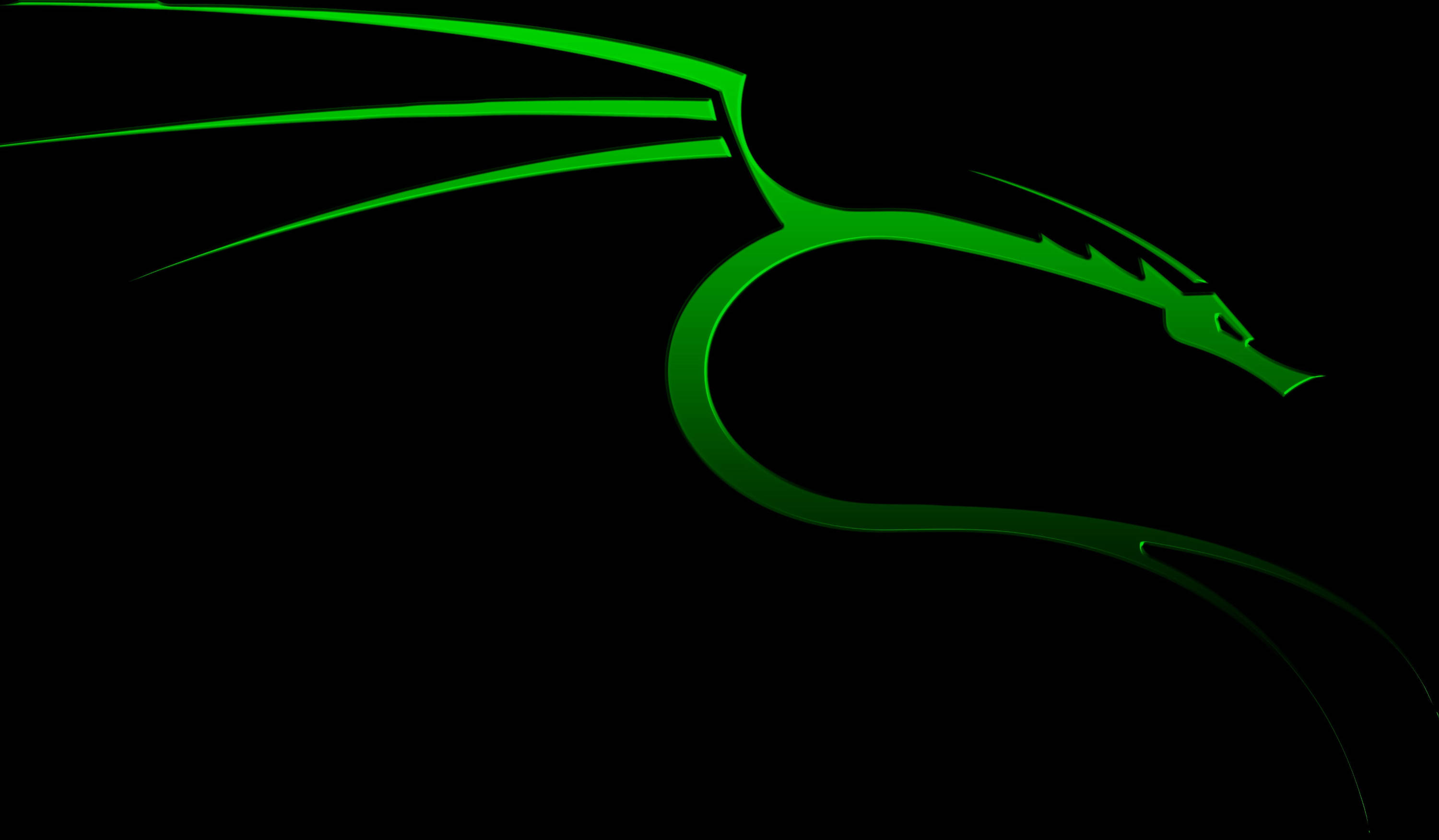 Simple Tribal Green Dragon, glowing green dragon, silhouette, 2K Desktop Wallpaper
