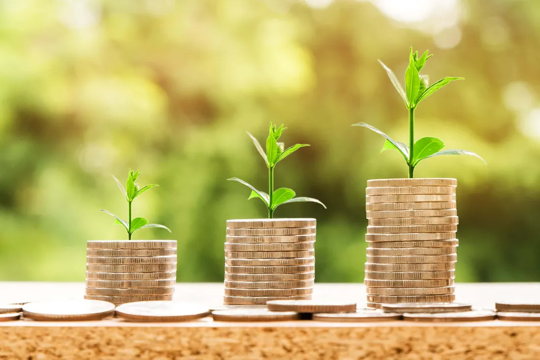 Green Economy