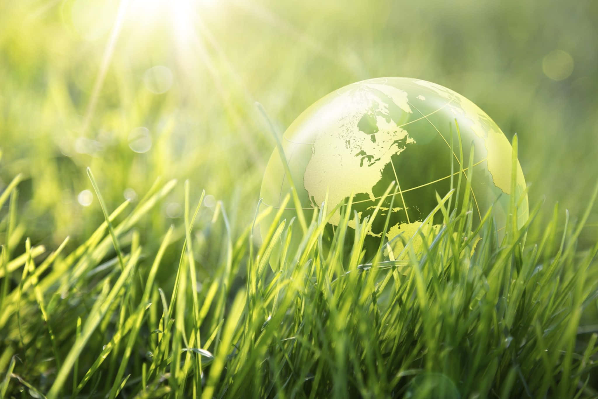 Green Economy, translucent globe, vibrant green grass, Full HD Desktop Wallpaper