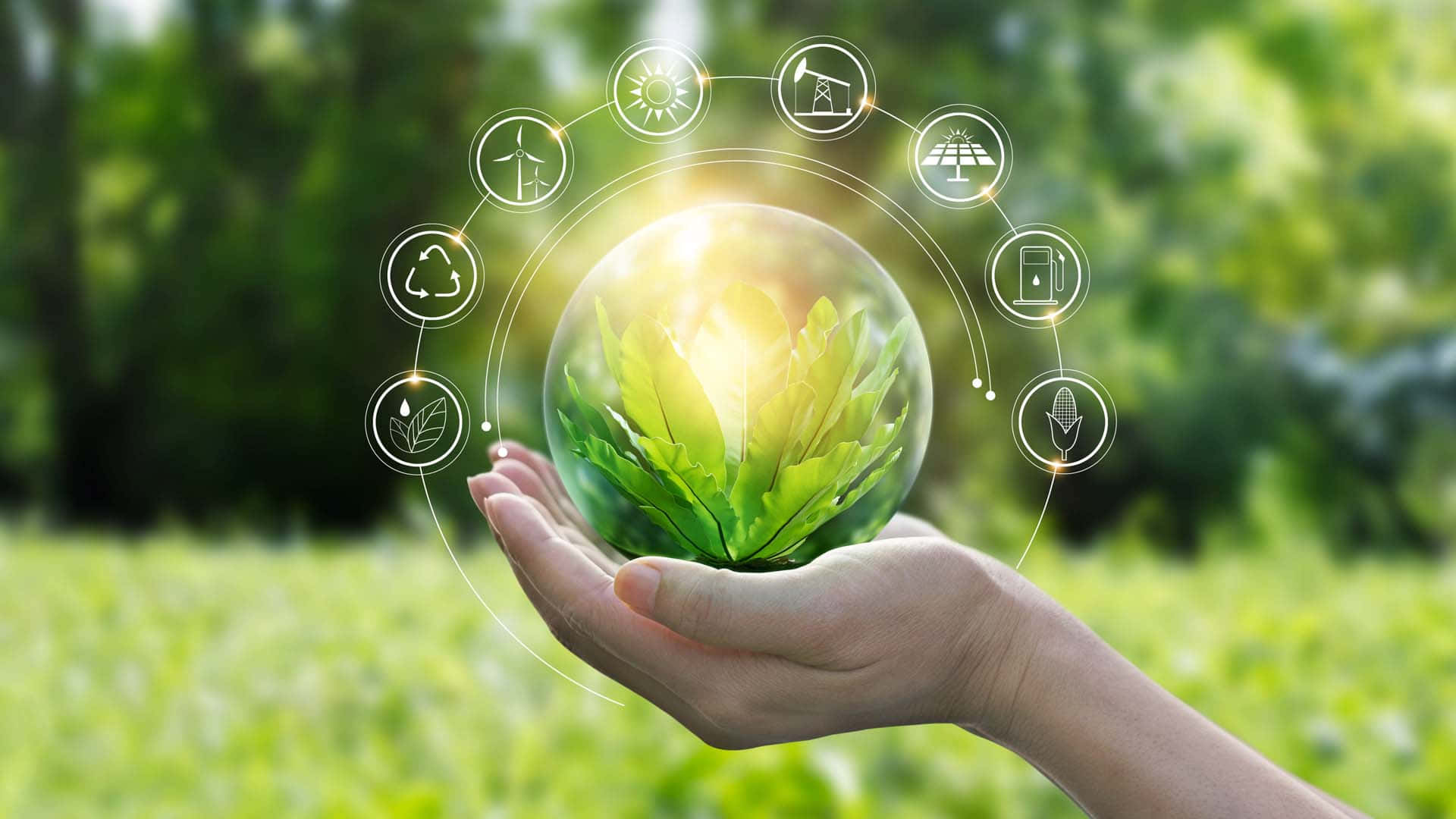 Green Economy, glowing glass sphere, green leaf, Full HD Desktop Wallpaper