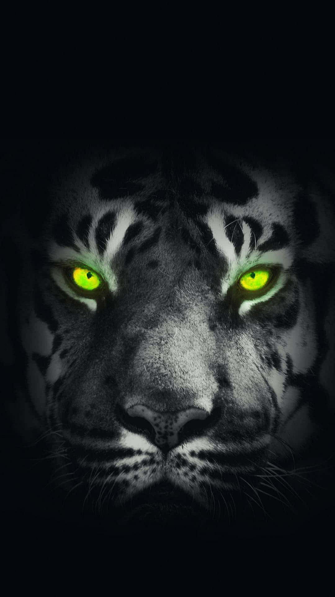 tiger, green eyes, darkness, Full HD Phone Wallpaper