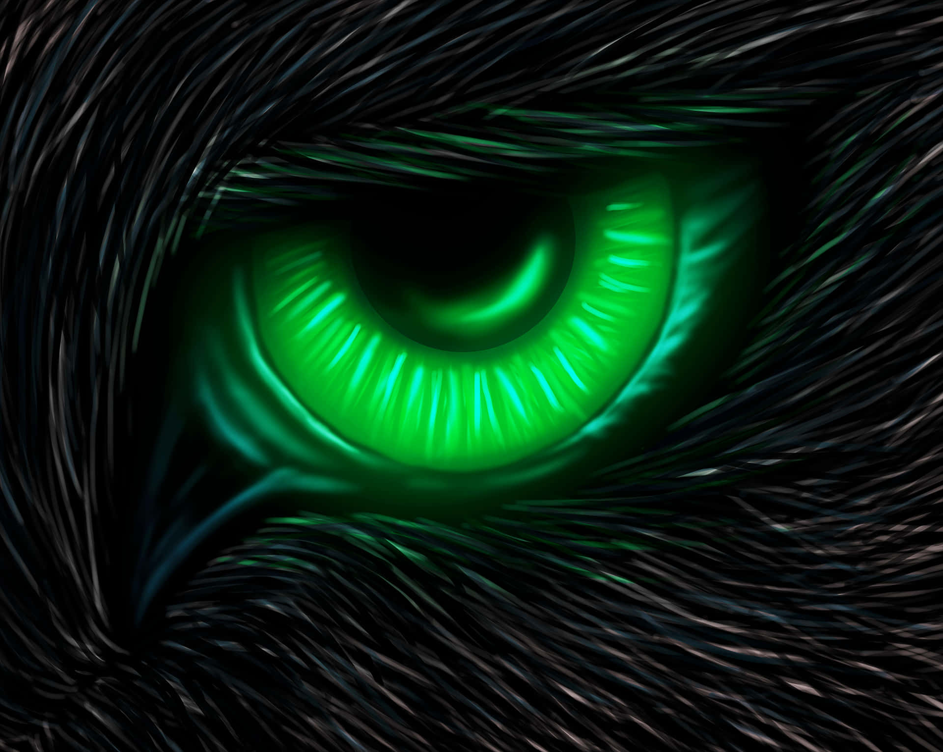 glowing green eye, dark fur, sharp radiant highlights, Full HD Desktop Wallpaper