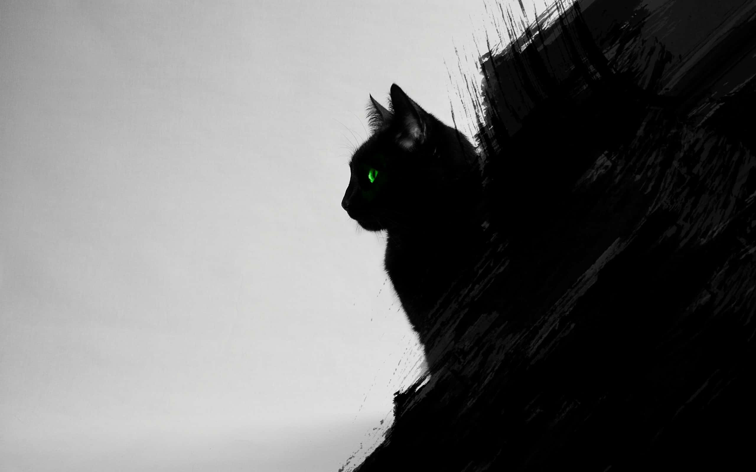 black cat, glowing green eyes, textured ledge, 2K Desktop Wallpaper