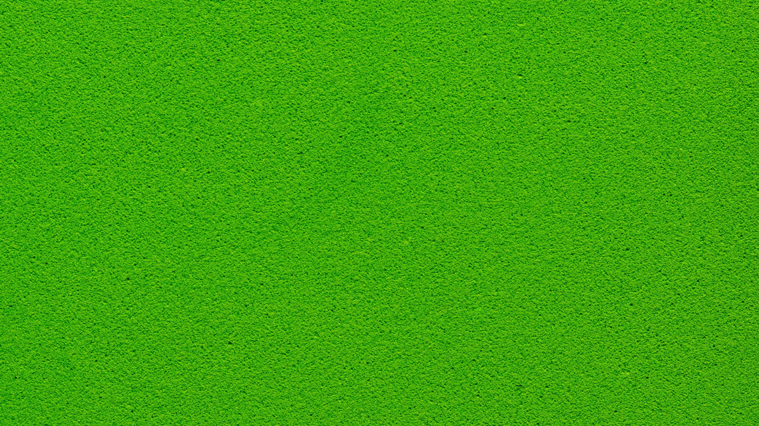 Solid Green, vibrant green, textured surface, 2K Desktop Wallpaper